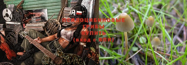 мяу мяу мука Алексеевка
