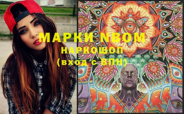 Альфа ПВП Новозыбков