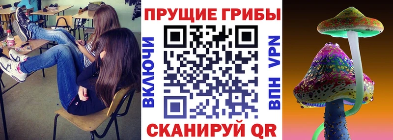 что такое наркотик  kraken ТОР  Галлюциногенные грибы мицелий  Березники 